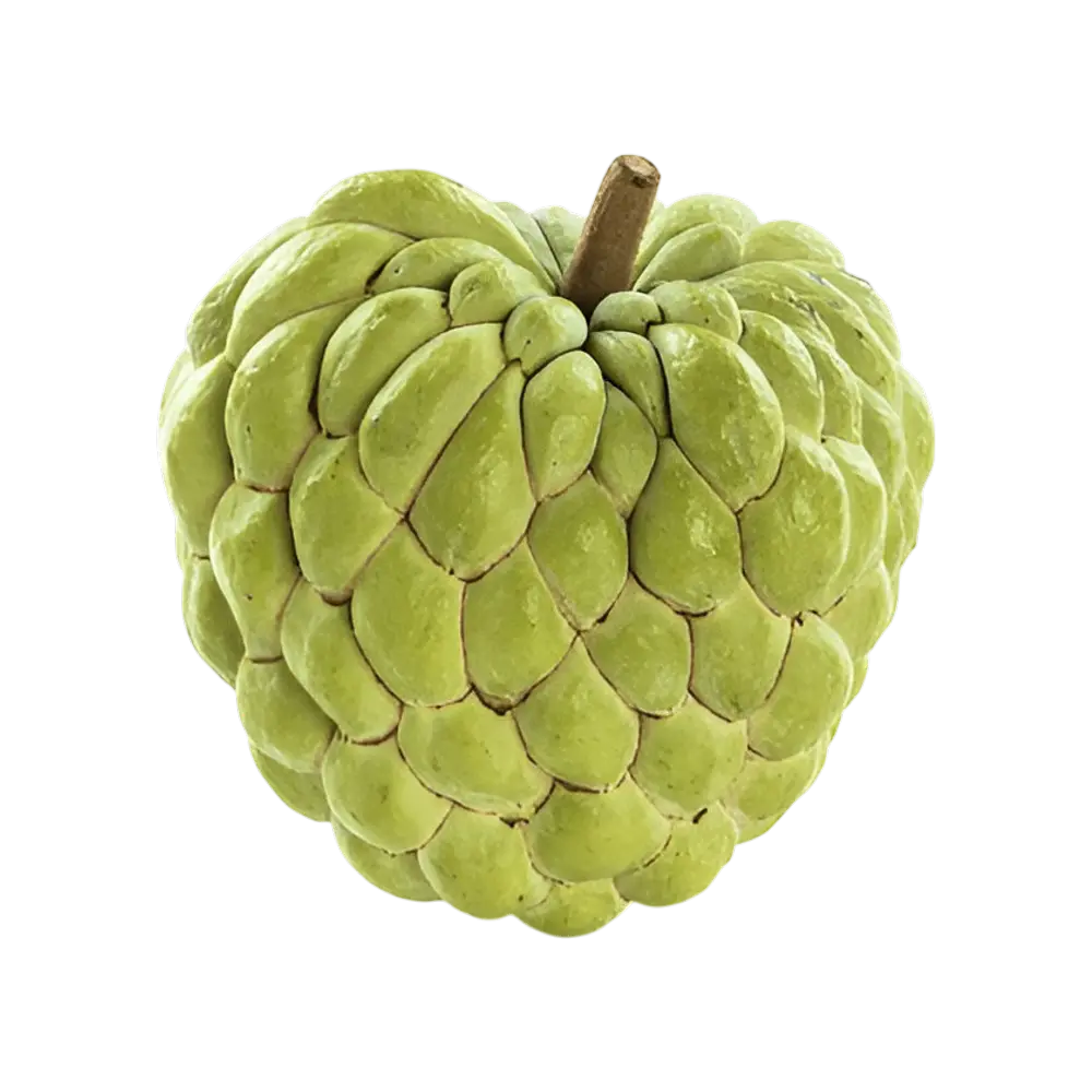 Custard Apple ( sita fal ) 1kg/- ( 1 pice free )