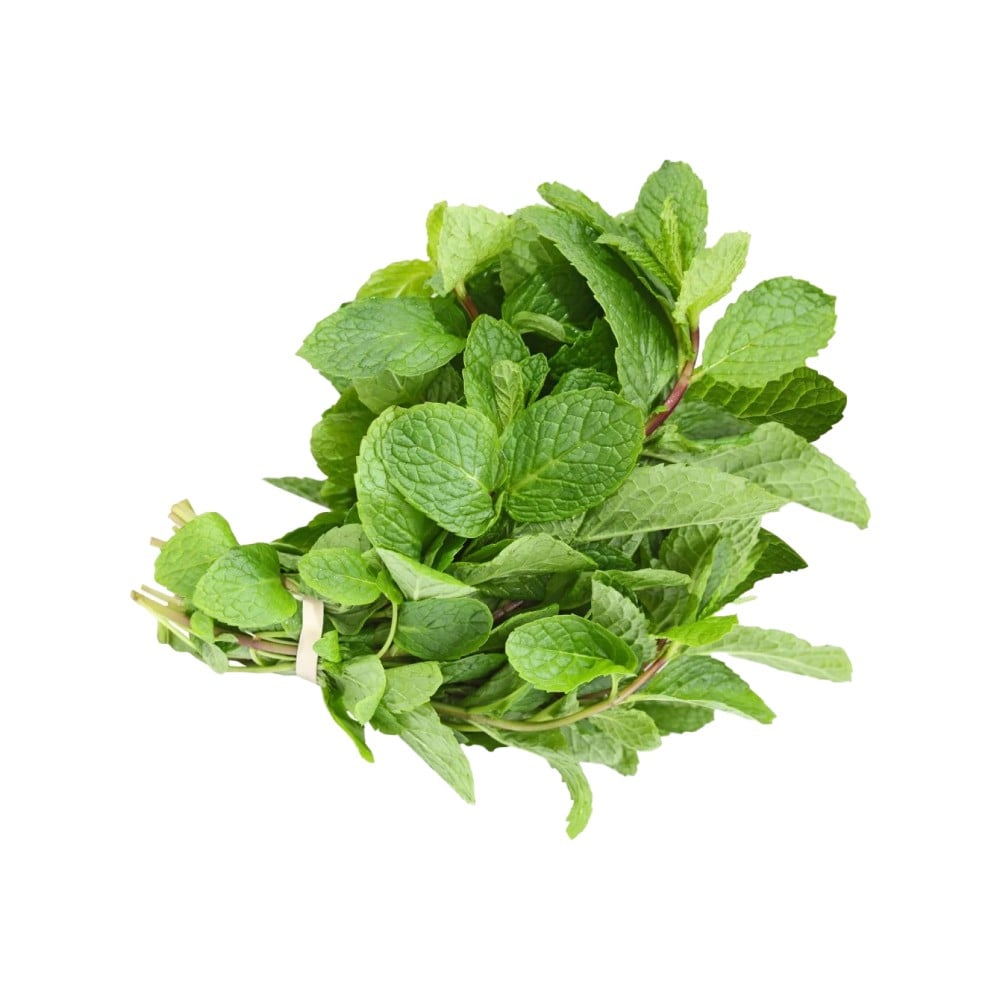 Mint ( pudina ) 150gram/-