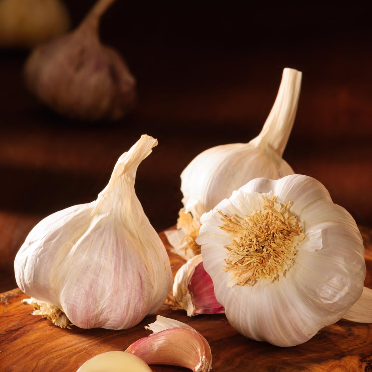 Garlic ( lasun ) 250 Gram/-