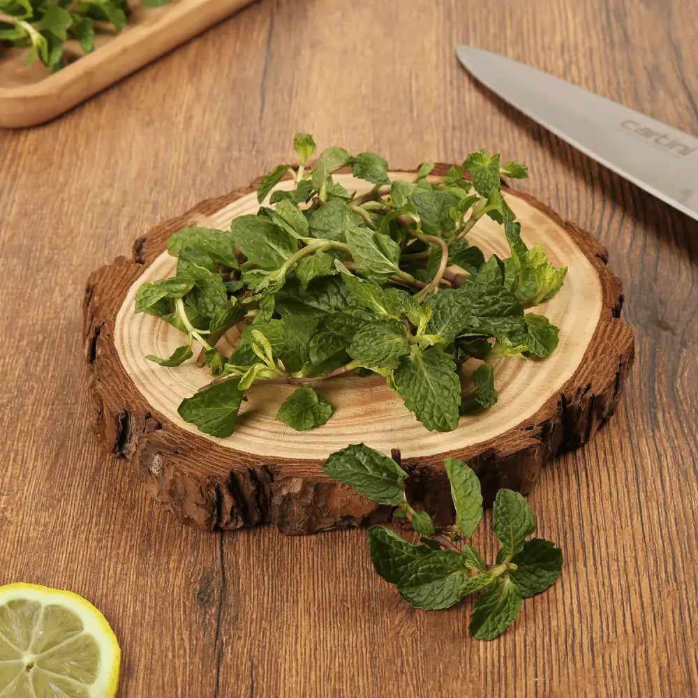 Mint ( pudina ) 150gram/-