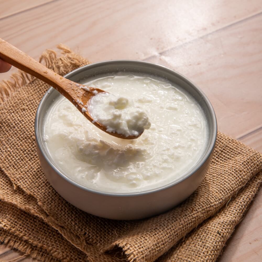 Sour Curd ( Khatta Dahi ) 500gram/-