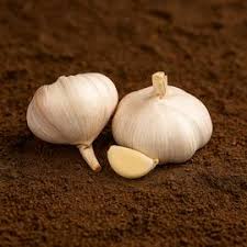 Garlic ( lasun ) 250 Gram/-
