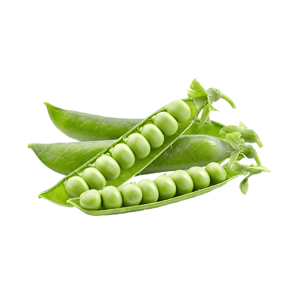 Green Peas (Matar) 500 gram/-
