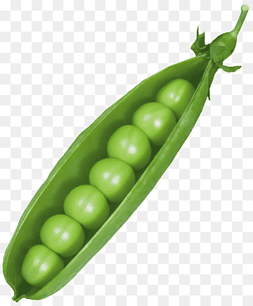 Green Peas (Matar) 500 gram/-